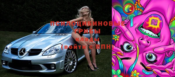бошки Алзамай