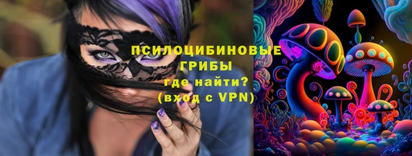 бошки Алзамай