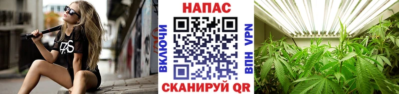Конопля Amnesia  что такое наркотик  Сухиничи 